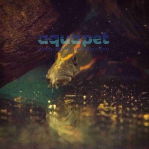 Węgorek ognisty (Mastacembelus erythrotaenia)