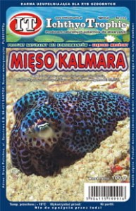 Mięso kalmara 100g