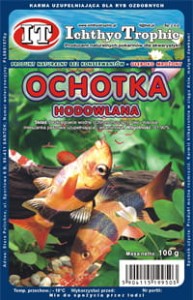 Ochotka Hodowlana