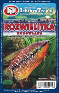 Rozwielitka (dafnia) hodowlana 100g 