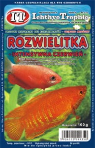Rozwielitka (dafnia) intensywna czerwień 100g