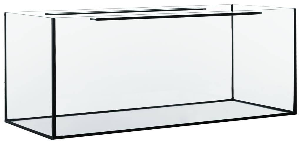 Pierwsze akwarium – co kupić i od czego zacząć?